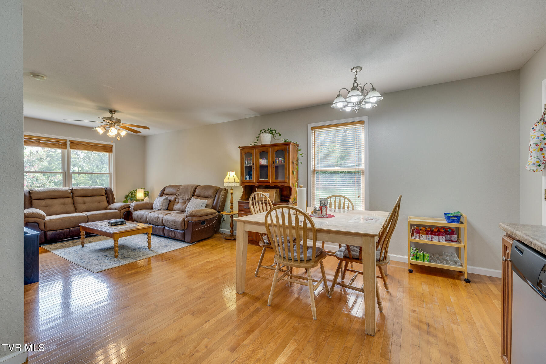 214 Marie Street Greeneville, TN 37743 - Photo 9 of 32 011