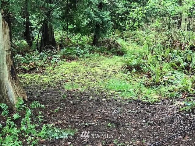 0 Miller Road Anacortes, WA 98221 - Photo 2 of 2 Gallery Image 2
