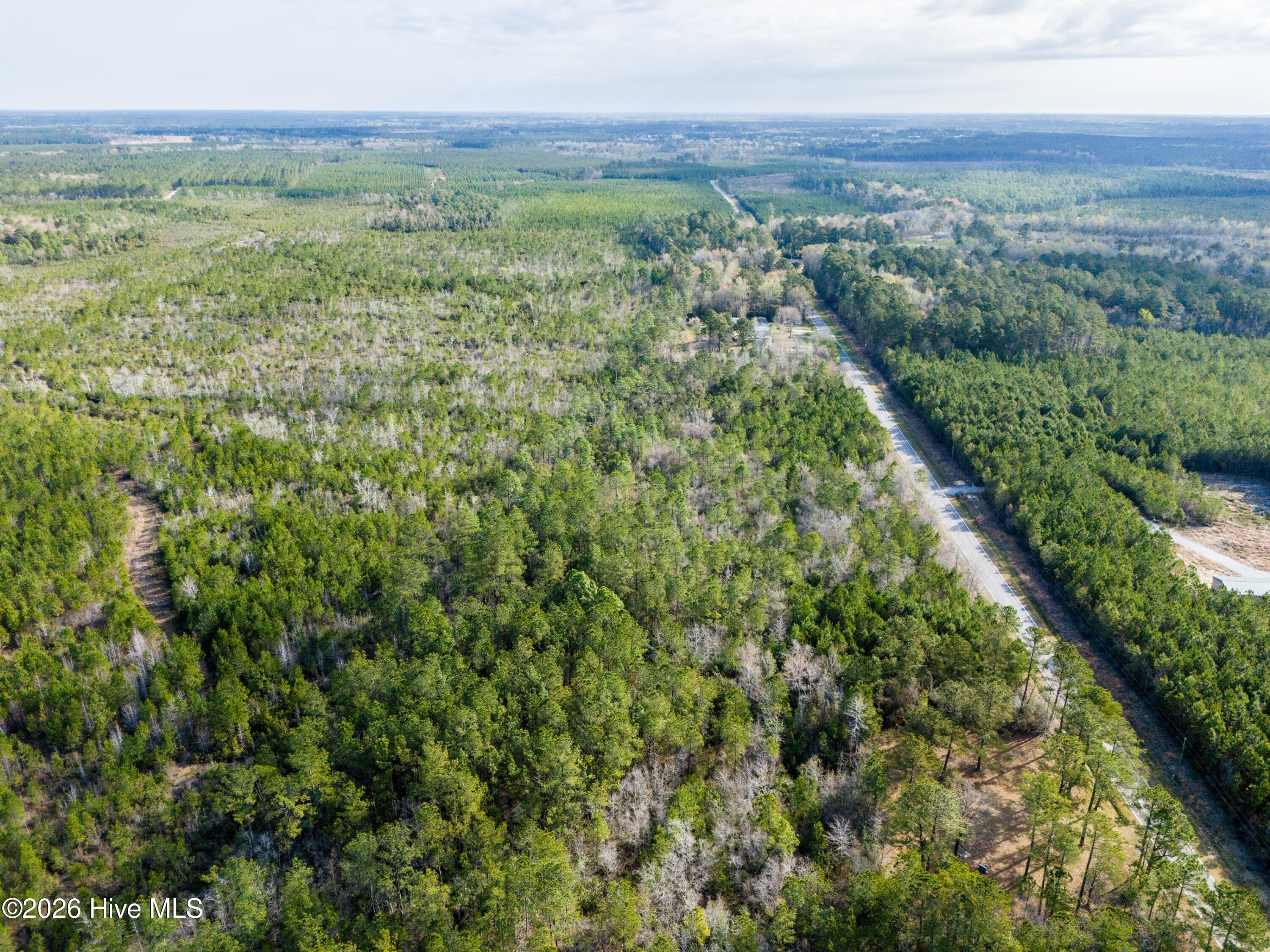 282 Hardy Graham Road Maple Hill, NC 28454 - Photo 2 of 14 DJI_20260326093248_0233_D