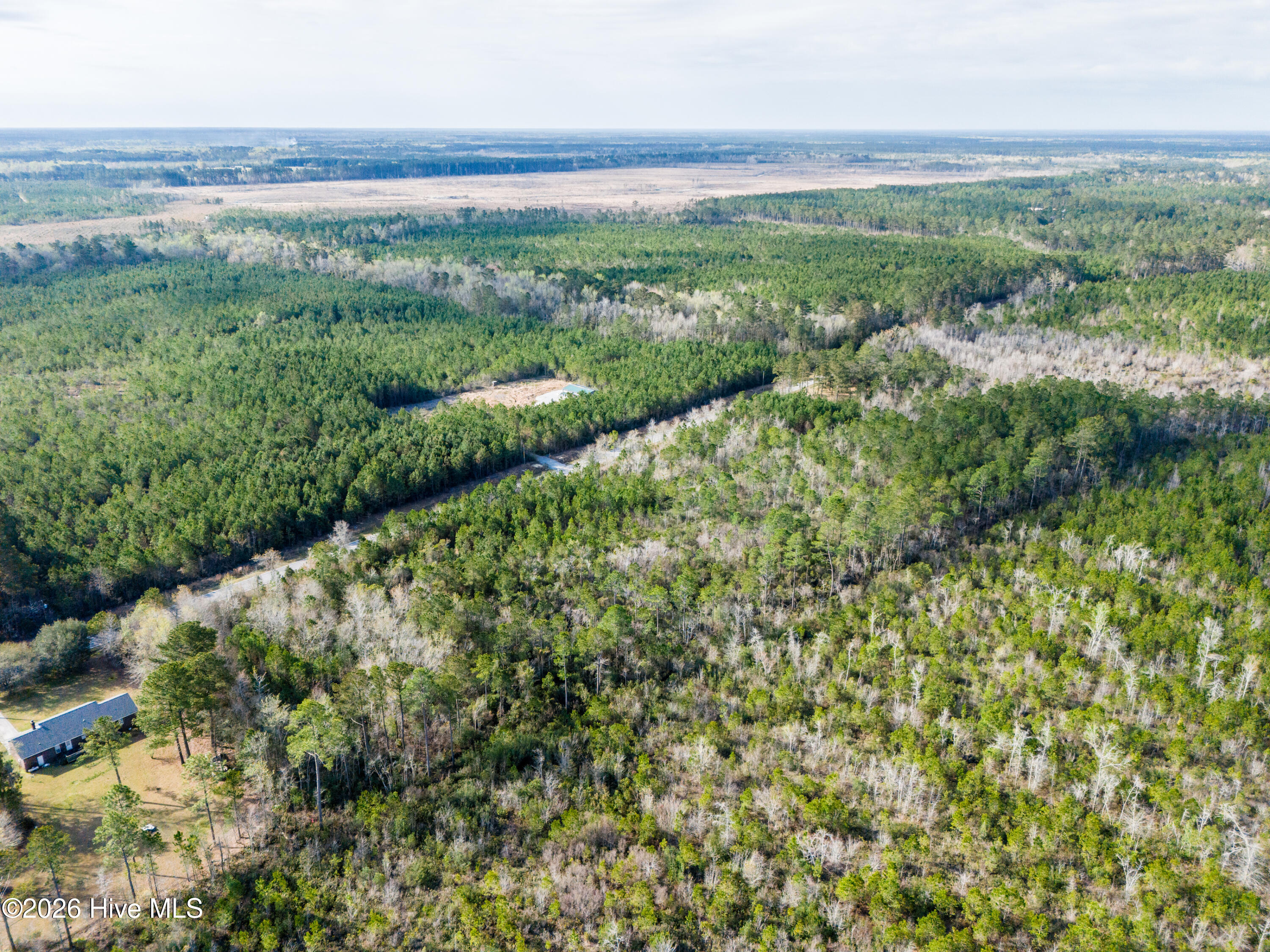 282 Hardy Graham Road Maple Hill, NC 28454 - Photo 8 of 14 DJI_20260326093359_0235_D