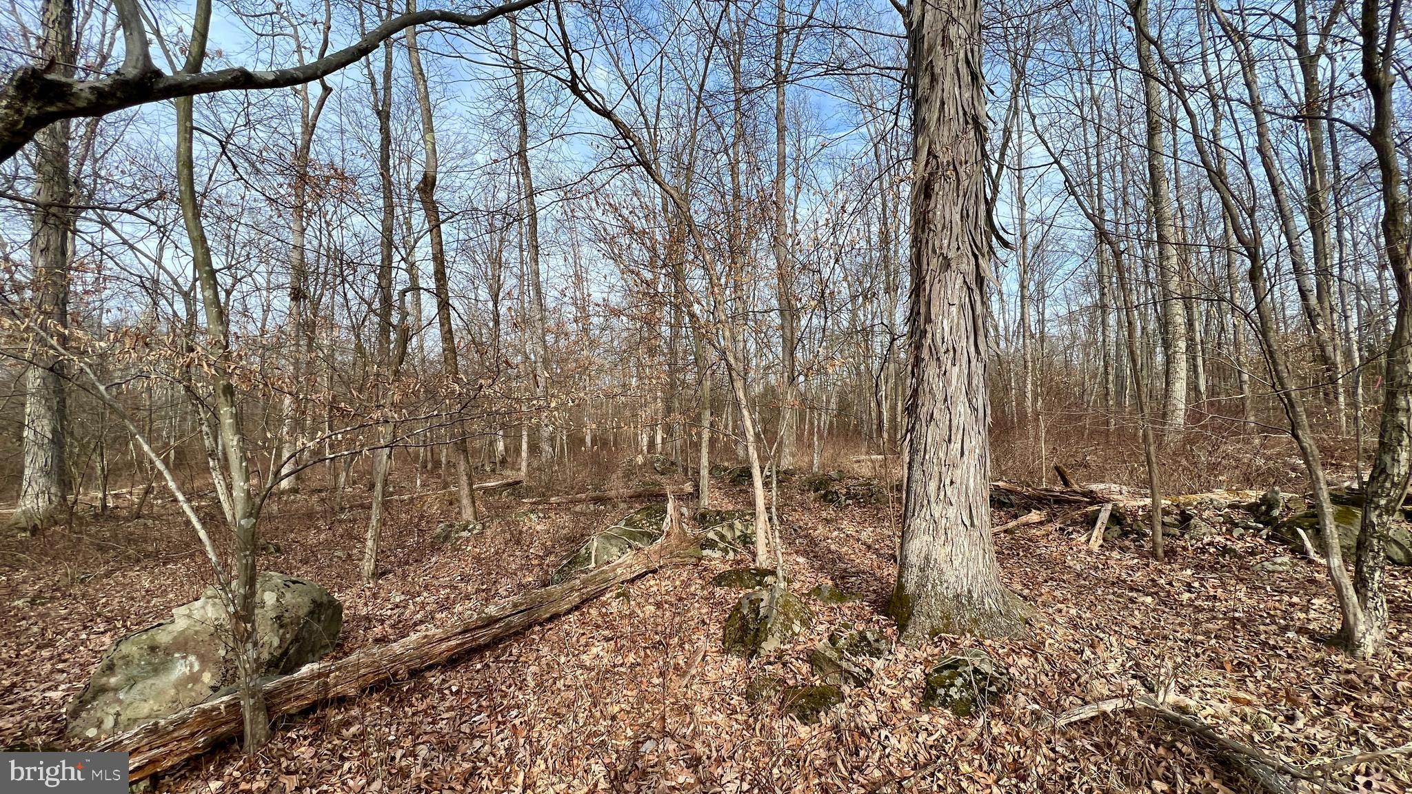 0 Rock Ridge Road Ottsville, PA 18942 - Photo 12 of 25 Gallery Image 12