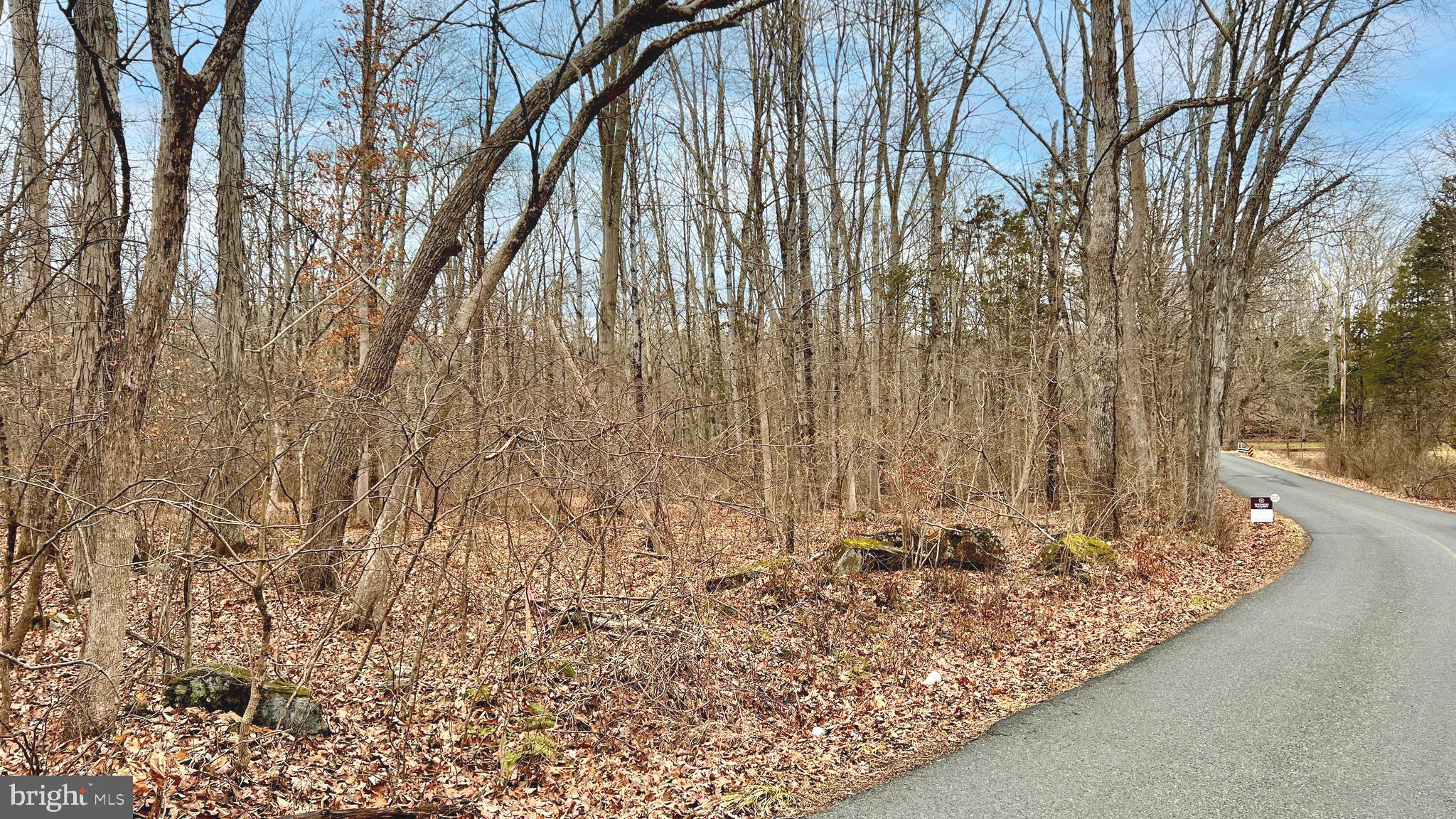 0 Rock Ridge Road Ottsville, PA 18942 - Photo 5 of 25 Rock Ridge Road facing Northwest