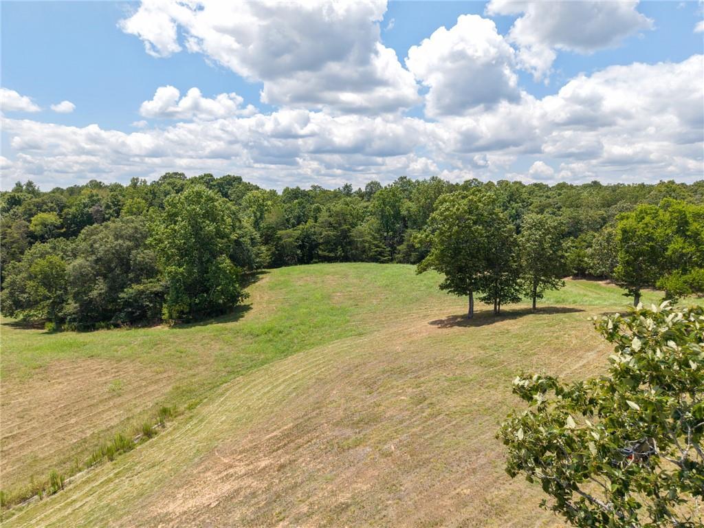 0 Mt Pleasant Road Northeast Fairmount, GA 30139 - Photo 21 of 35