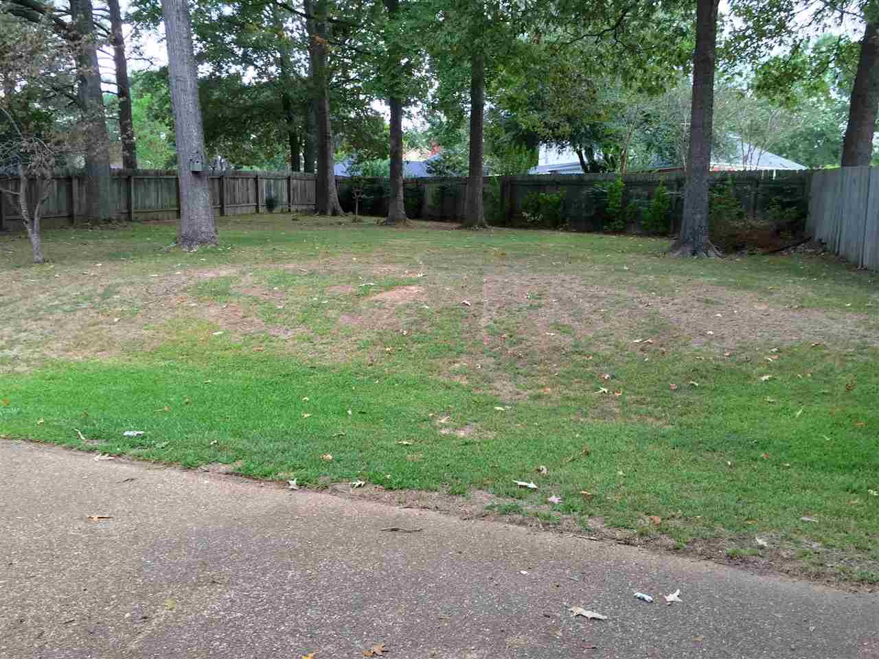 71 Springview Drive Brandon, MS 39042 - Photo 17 of 17 Photo 17