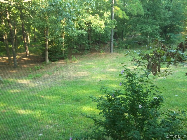 4418 Tatum Road Disputanta, VA 23842 - Photo 7 of 8 a view of outdoor space and yard
