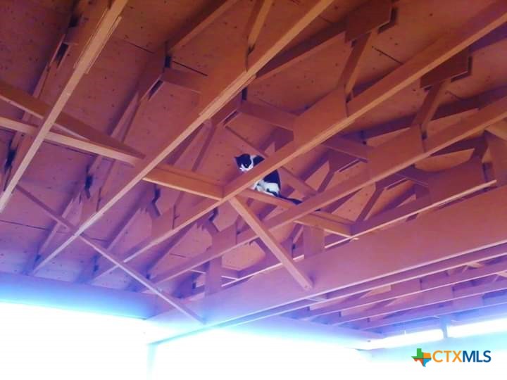 842 Burkhart Road Victoria, TX 77905 - Photo 19 of 44