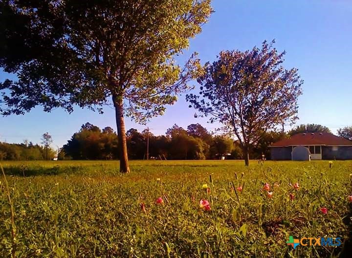 842 Burkhart Road Victoria, TX 77905 - Photo 20 of 44