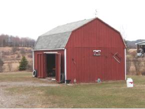 317 Markham Road Newark Valley, NY 13811 - Photo 8 of 10 Gallery Image 8