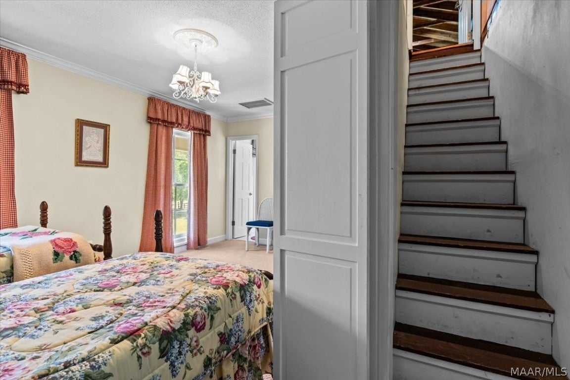 2613 Goose Hollow Road Geneva, AL 36340 - Photo 34 of 63 Gallery Image 34
