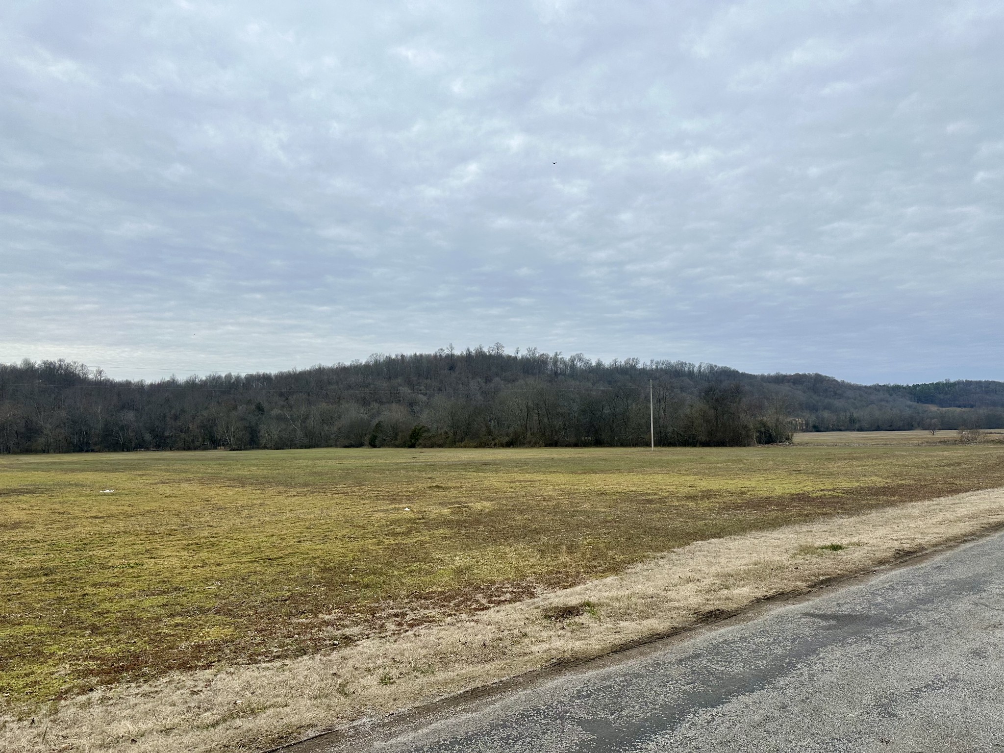 0 Hagan Road Prospect, TN 38477 - Photo 1 of 1