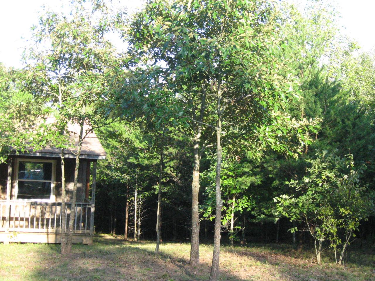 Lot 33 Ridgewood Road Huddleston, VA 24104 - Photo 2 of 10 front/side of property