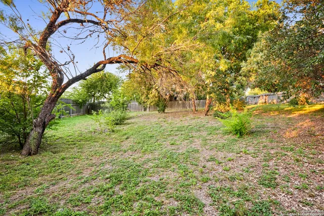 a view of yard with tree