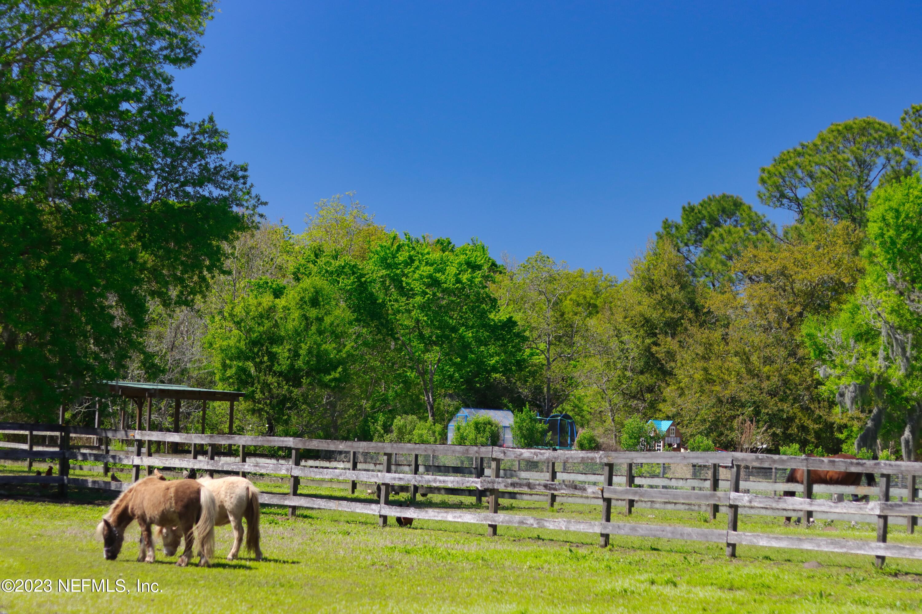 2871 Usina Road St. Augustine, FL 32084 - Photo 18 of 19 IMG_4970