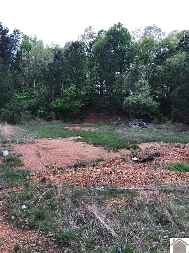 918 Heater Store Road Smithland, KY 42081 - Photo 1 of 1 Photo 1