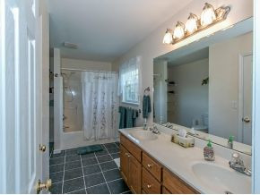 620 Chestnut Ridge Road Afton, TN 37616 - Photo 13 of 24 Master Bathroom