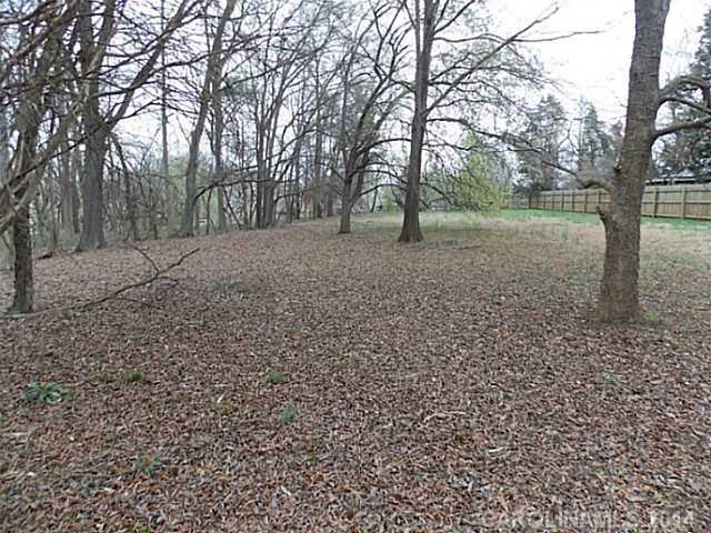 3519 Pleasant Road Fort Mill, SC 29708 - Photo 12 of 16 Gallery Image 12