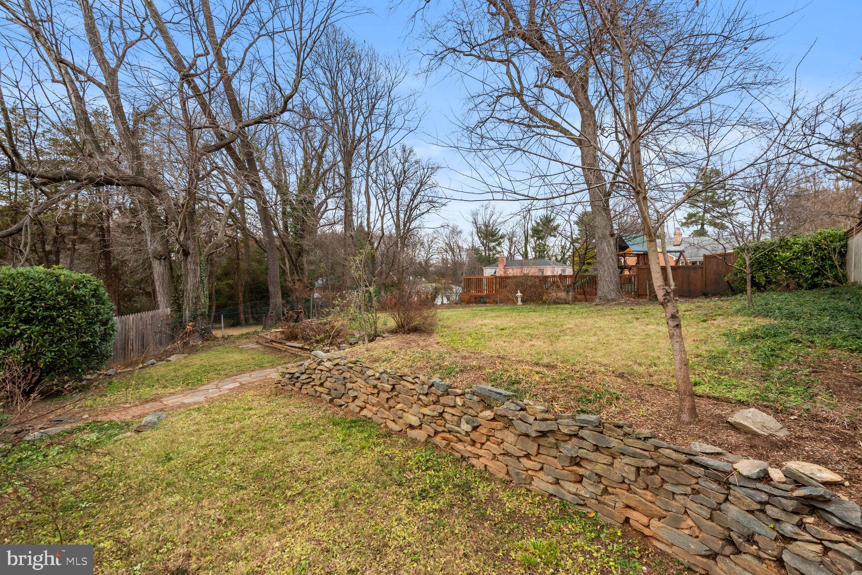 1003 Highland Drive Silver Spring, MD 20910 - Photo 25 of 27 Large garden for plantings