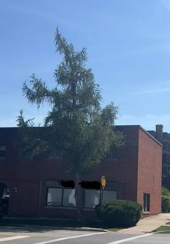 $2,000 | 1717 2nd Street, Unit 2W, Highland Park, IL 60035