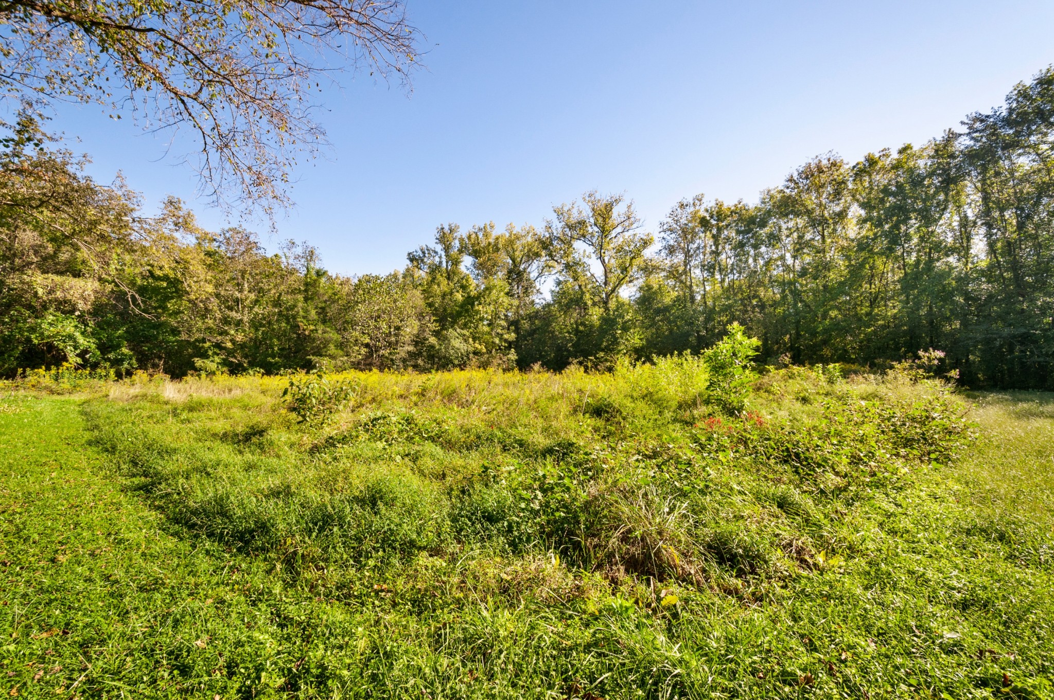 0 River Road Nashville, TN 37209 - Photo 11 of 16 Gallery Image 11