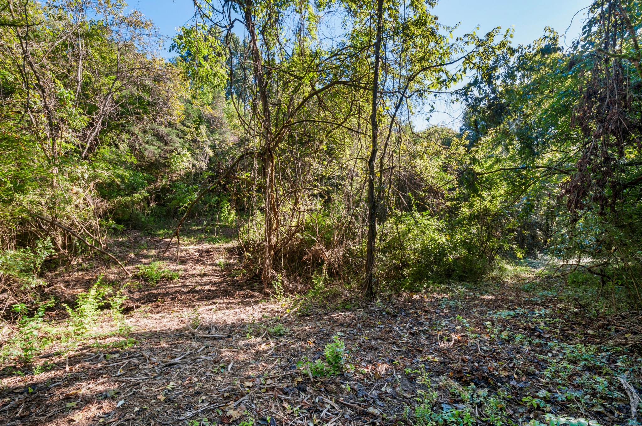 0 River Road Nashville, TN 37209 - Photo 12 of 16 Gallery Image 12