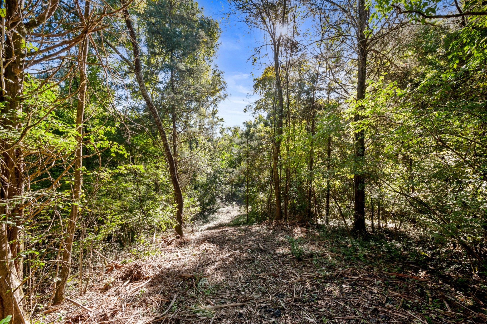 0 River Road Nashville, TN 37209 - Photo 13 of 16 Gallery Image 13