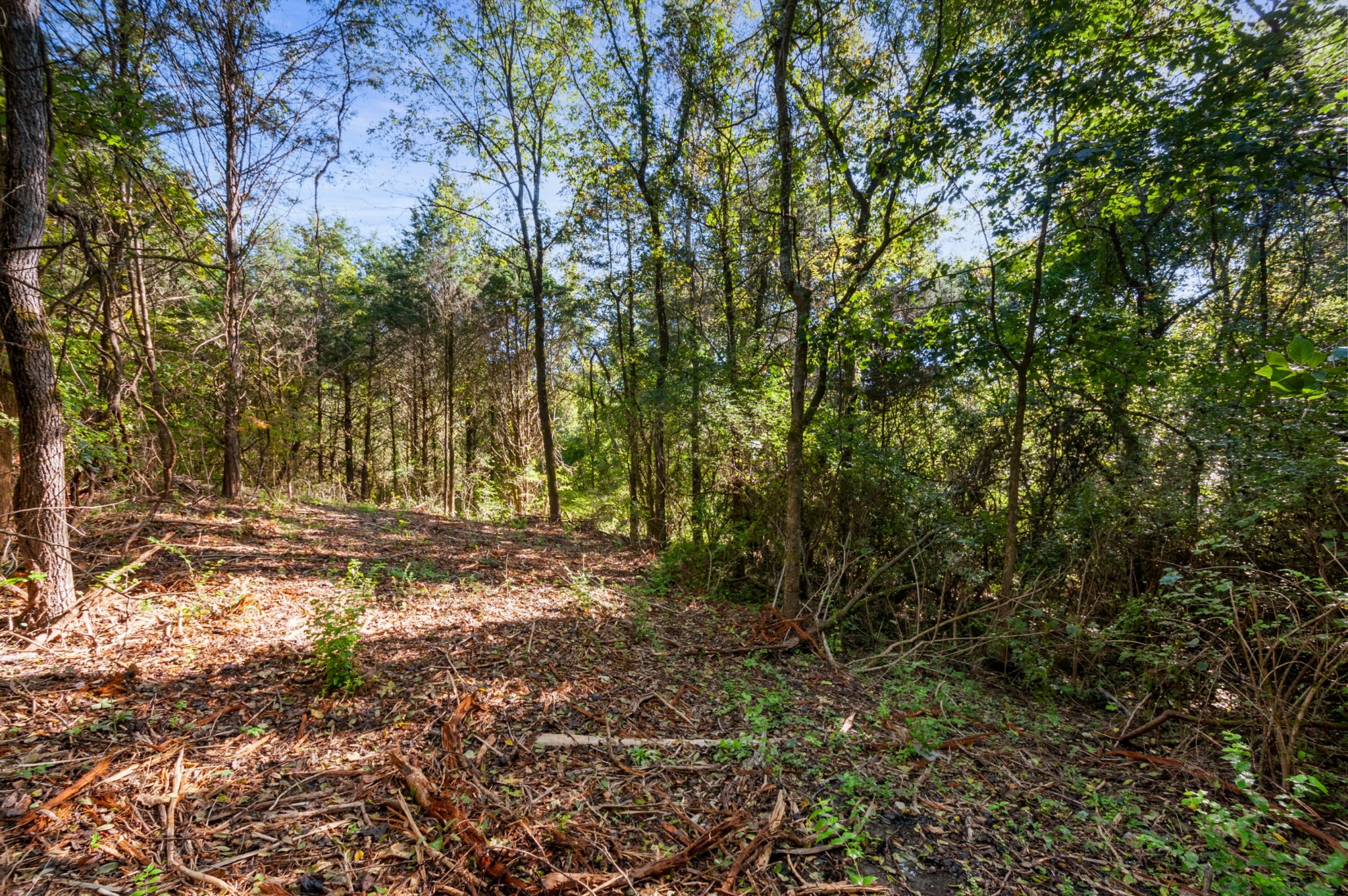 0 River Road Nashville, TN 37209 - Photo 14 of 16 Gallery Image 14