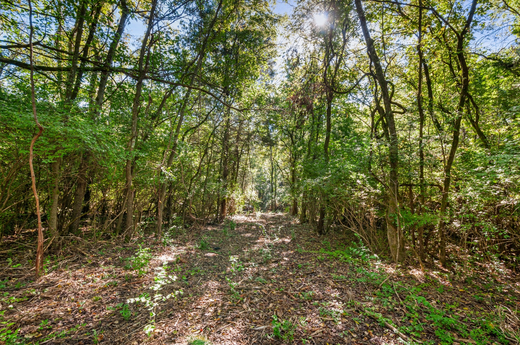 0 River Road Nashville, TN 37209 - Photo 15 of 16 Gallery Image 15