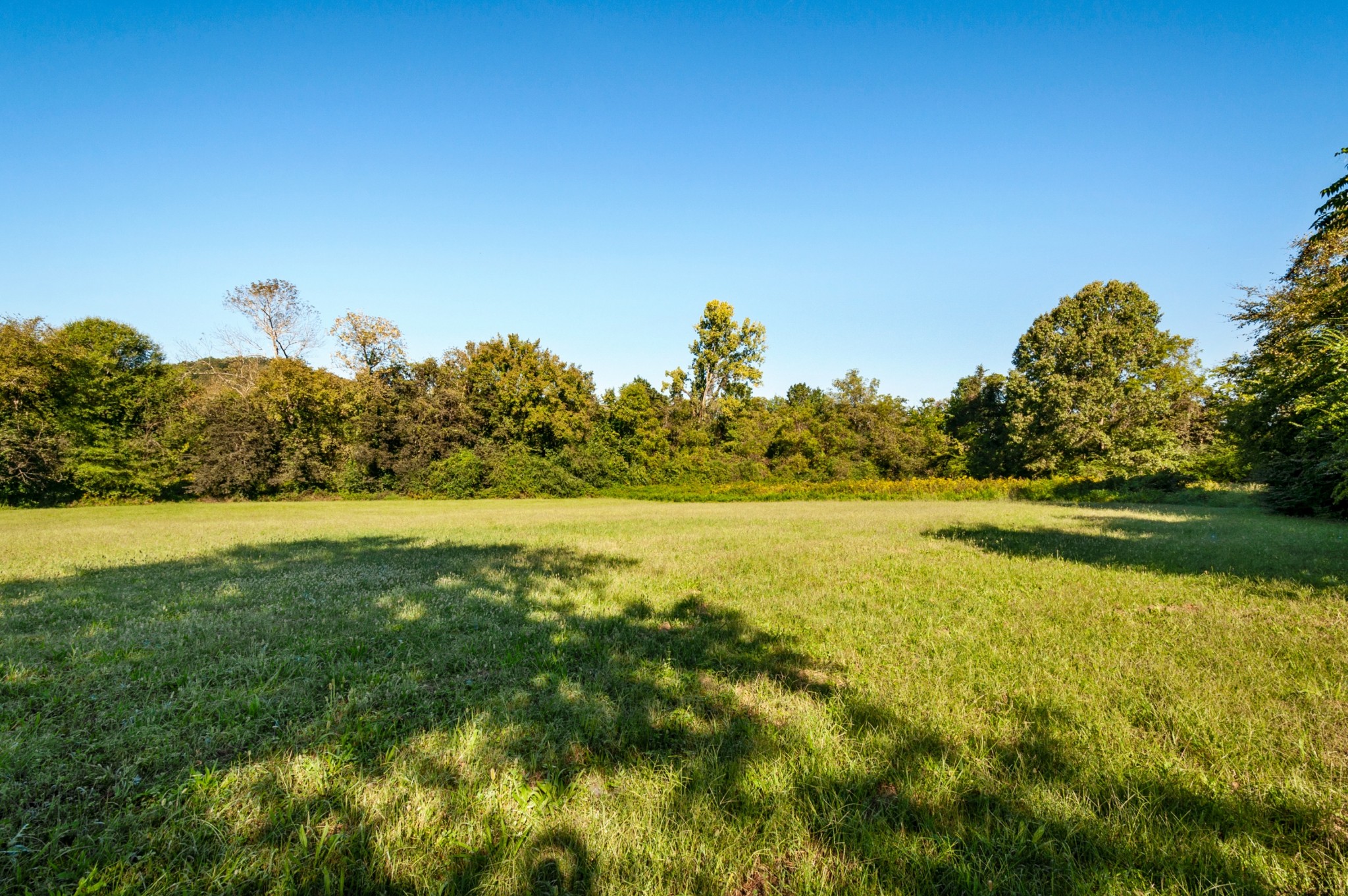 0 River Road Nashville, TN 37209 - Photo 4 of 16 Gallery Image 4