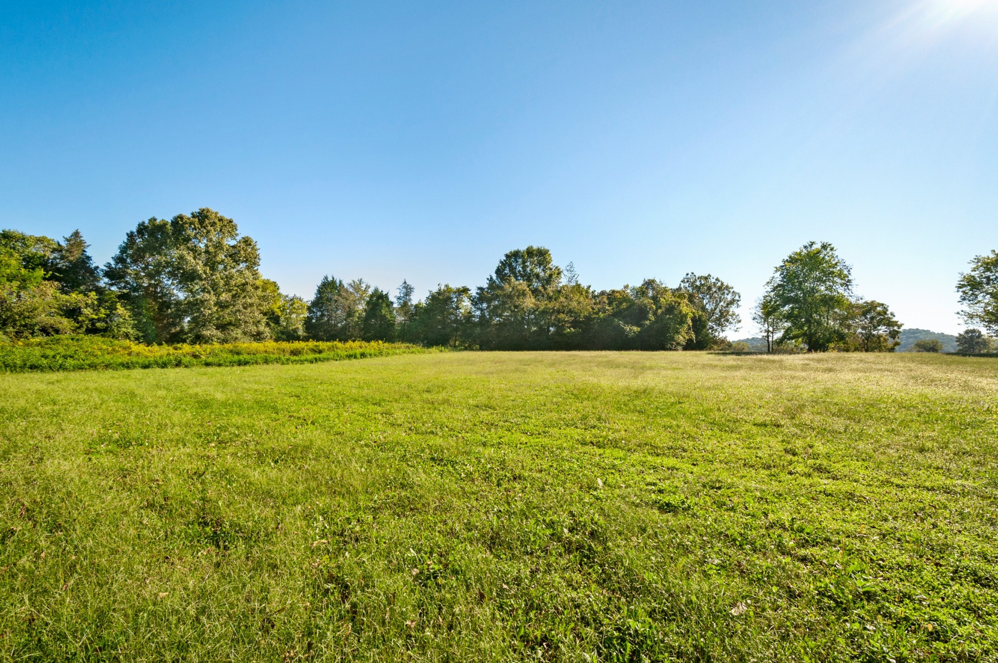 0 River Road Nashville, TN 37209 - Photo 5 of 16 Gallery Image 5