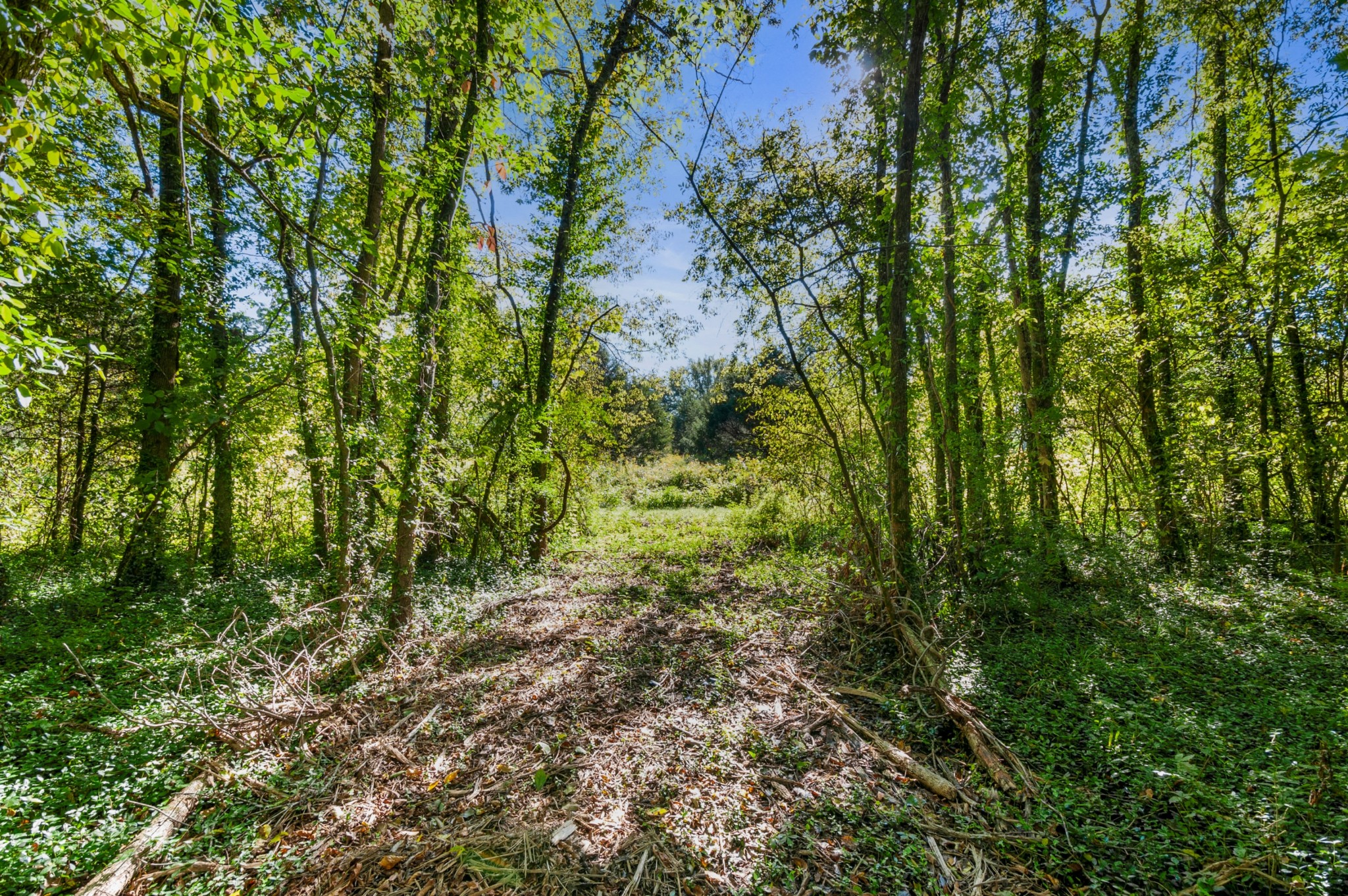 0 River Road Nashville, TN 37209 - Photo 7 of 16 Gallery Image 7