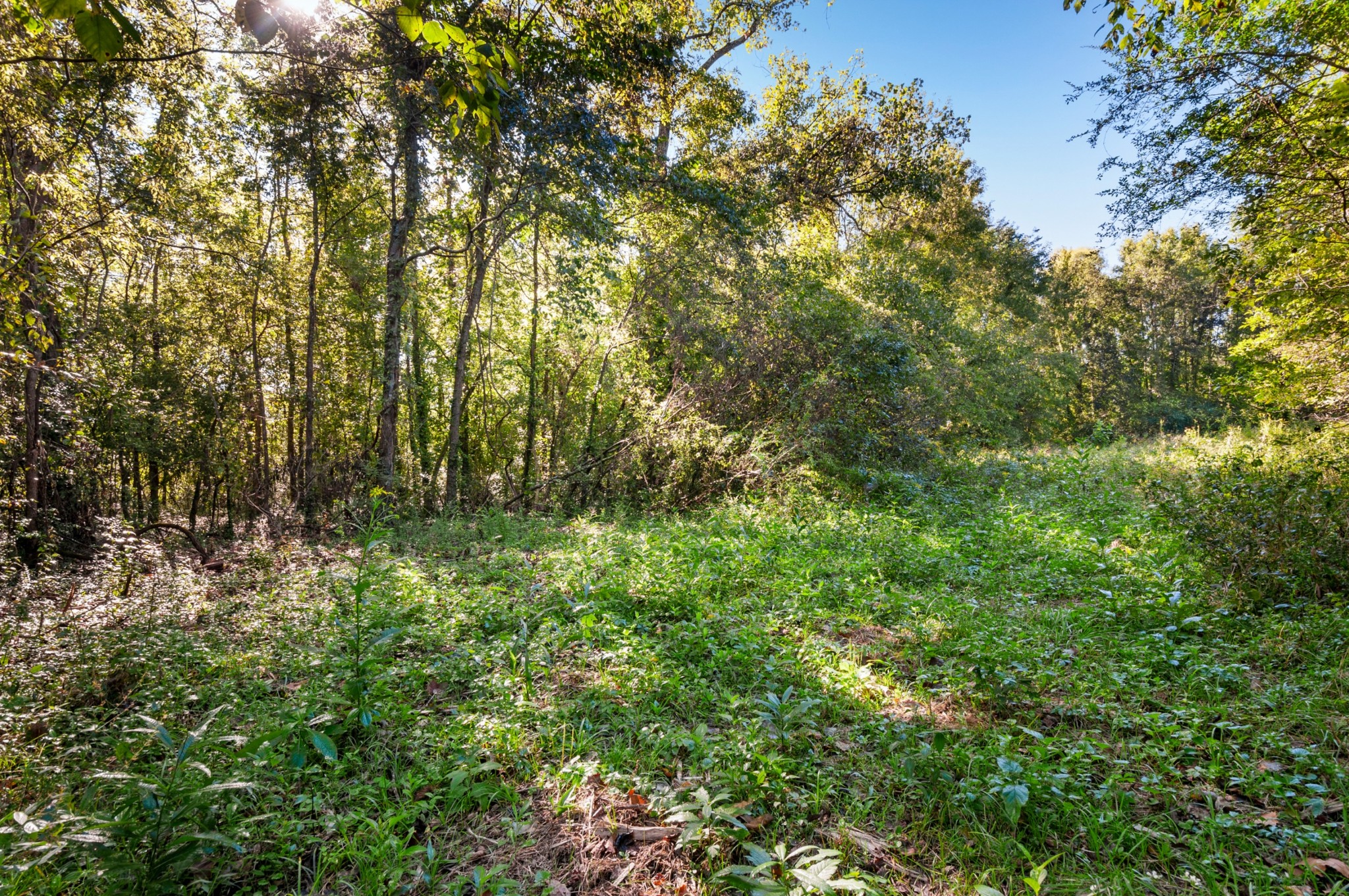 0 River Road Nashville, TN 37209 - Photo 9 of 16 Gallery Image 9