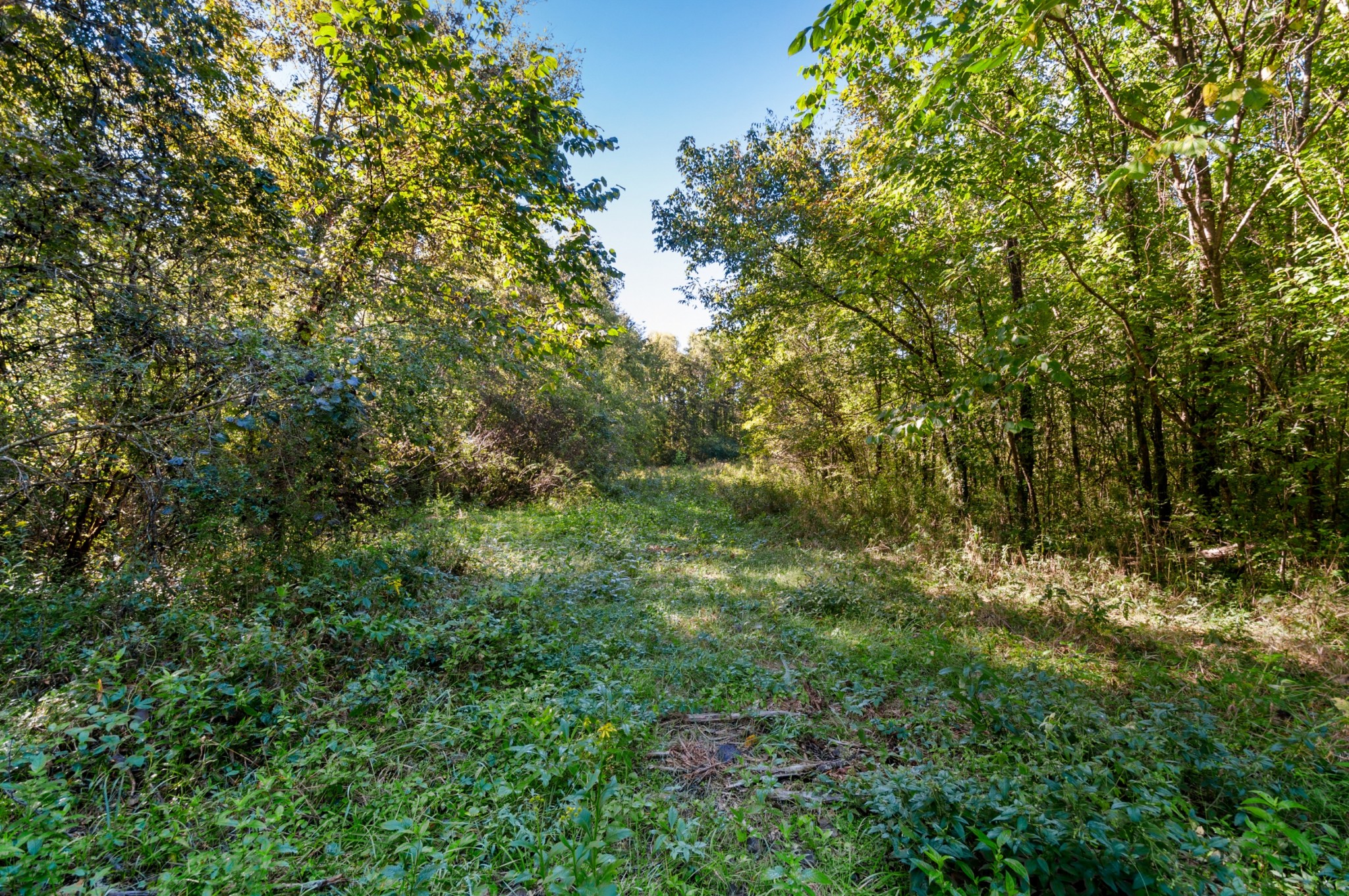 0 River Road Nashville, TN 37209 - Photo 10 of 16 Gallery Image 10