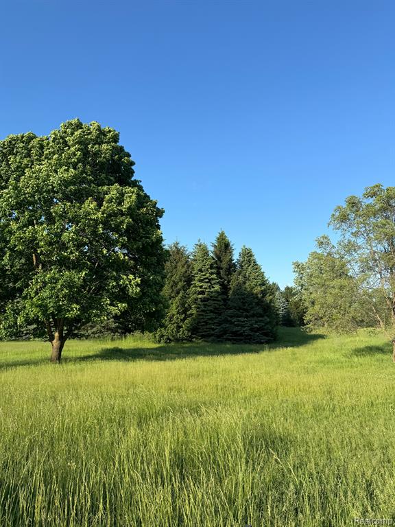 0 North Owosso Road Fowlerville, MI 48836 - Photo 2 of 3