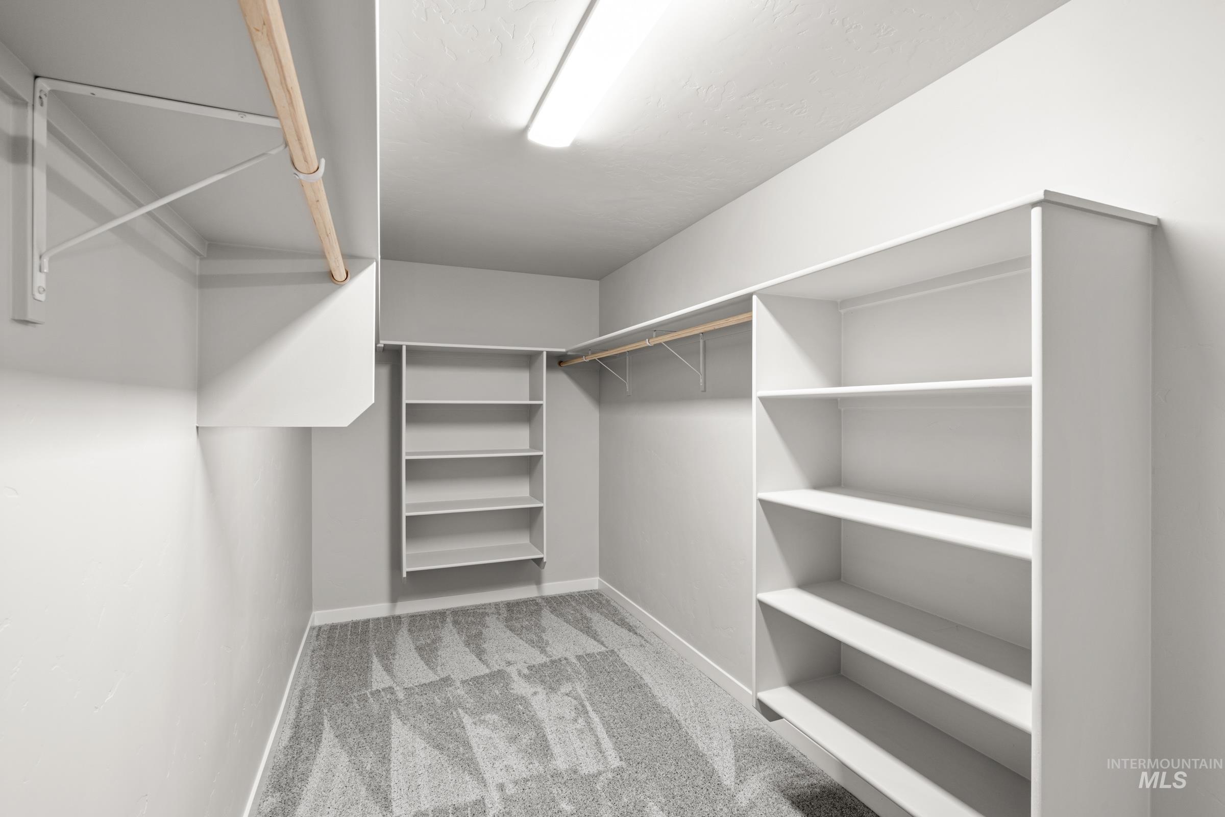 1651 Dyer Street Middleton, ID 83644 - Photo 24 of 28 Walk in closet with light colored carpet