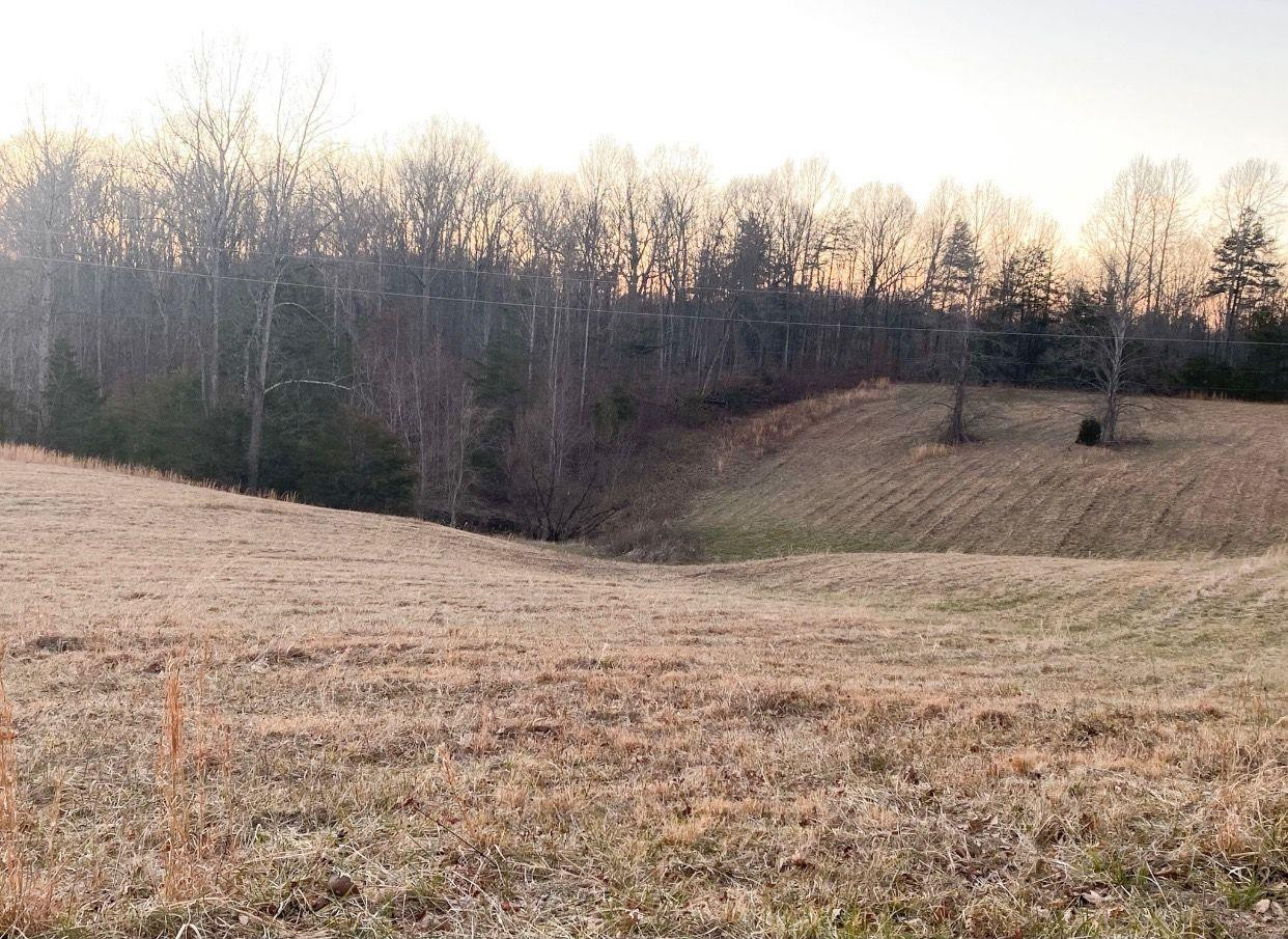 529 Old Salem Road London, KY 40741 - Photo 50 of 61 Photo 52