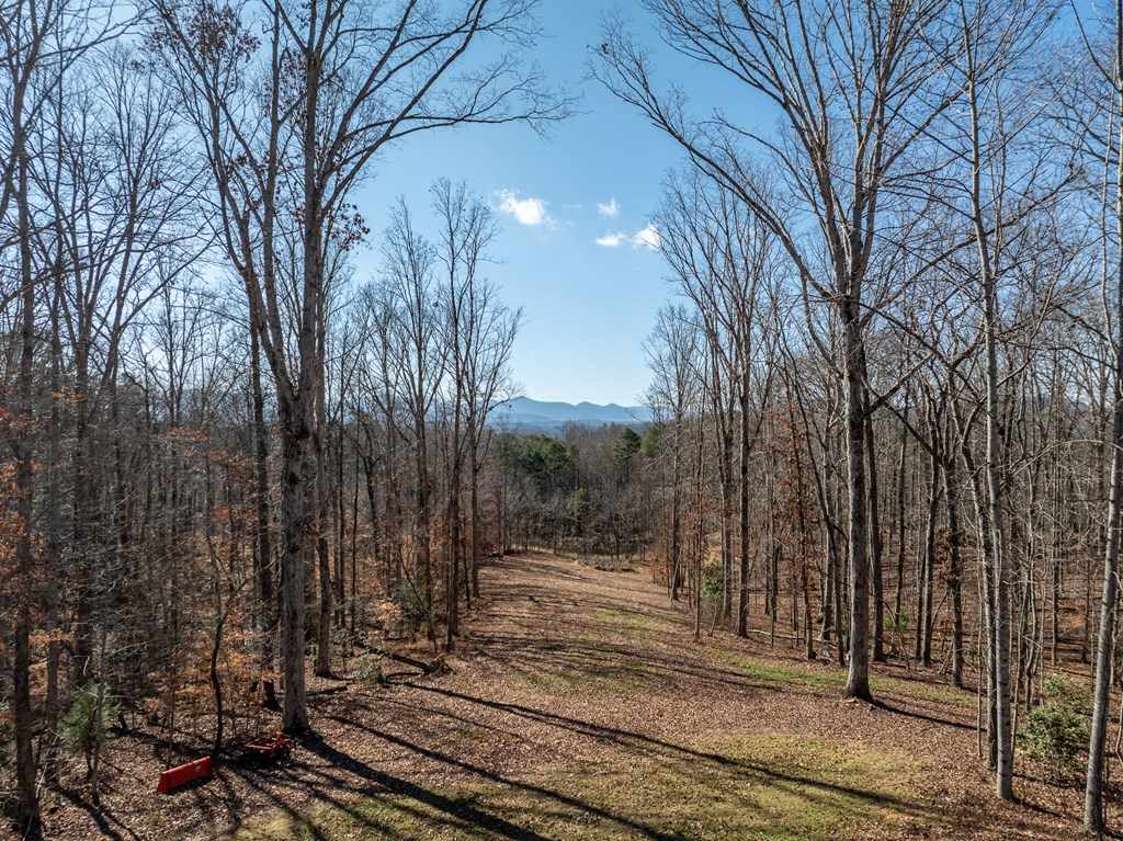 87 Pea Ridge Road Blairsville, GA 30512 - Photo 40 of 52 Gallery Image 40