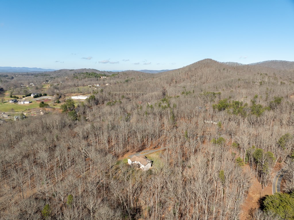 87 Pea Ridge Road Blairsville, GA 30512 - Photo 43 of 52 Gallery Image 43