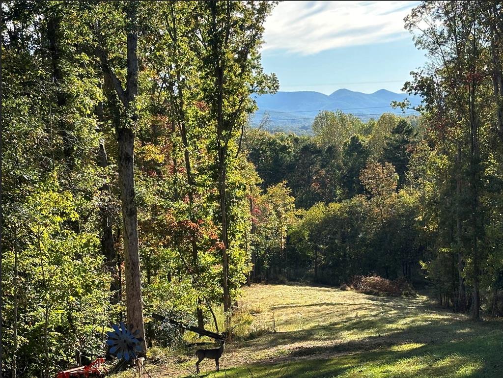 87 Pea Ridge Road Blairsville, GA 30512 - Photo 48 of 52 Gallery Image 48