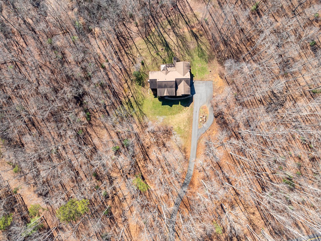 87 Pea Ridge Road Blairsville, GA 30512 - Photo 49 of 52 Gallery Image 49
