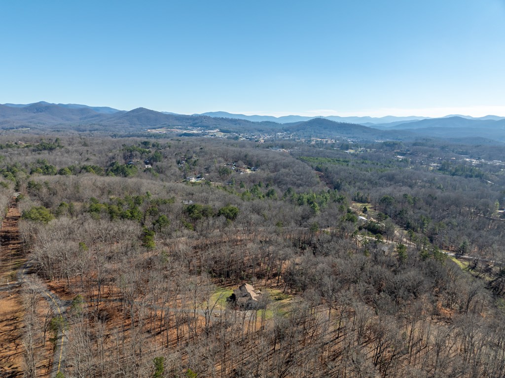87 Pea Ridge Road Blairsville, GA 30512 - Photo 51 of 52 Gallery Image 51