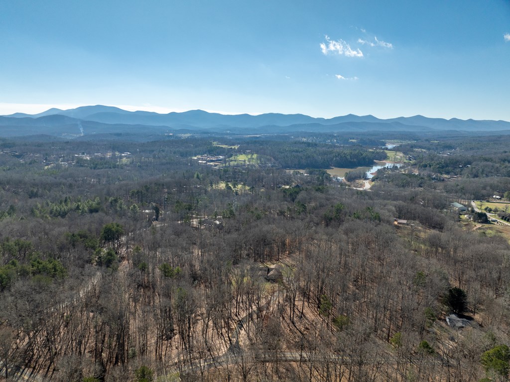 87 Pea Ridge Road Blairsville, GA 30512 - Photo 52 of 52 Gallery Image 52