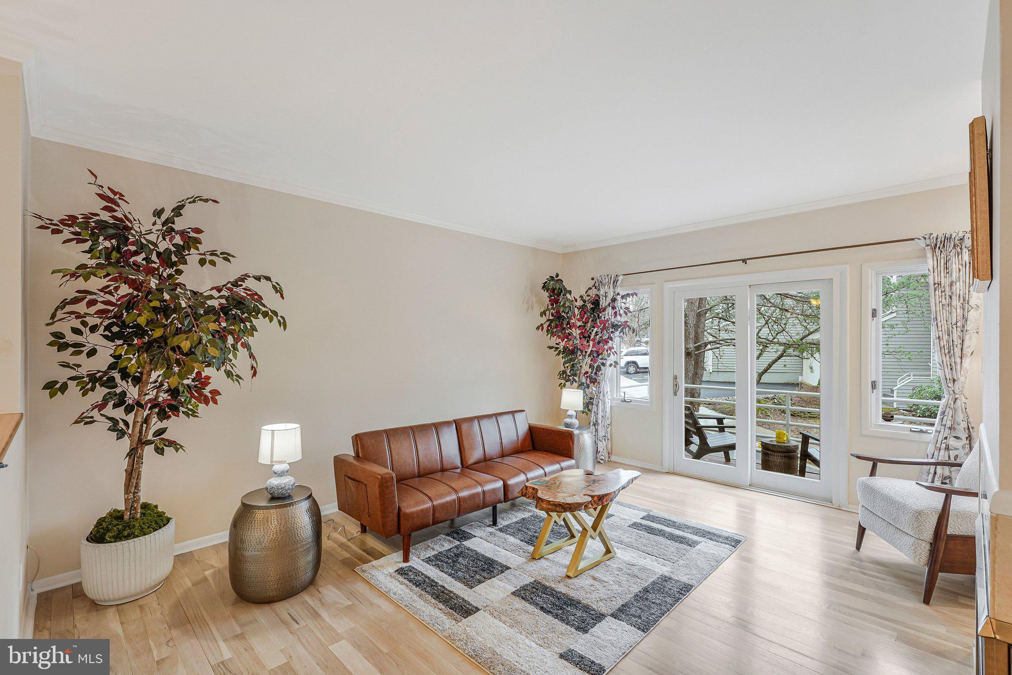11123 Lakespray Way Reston, VA 20191 - Photo 2 of 47 a living room with furniture and a potted plant