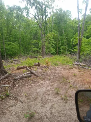a view of backyard with green space