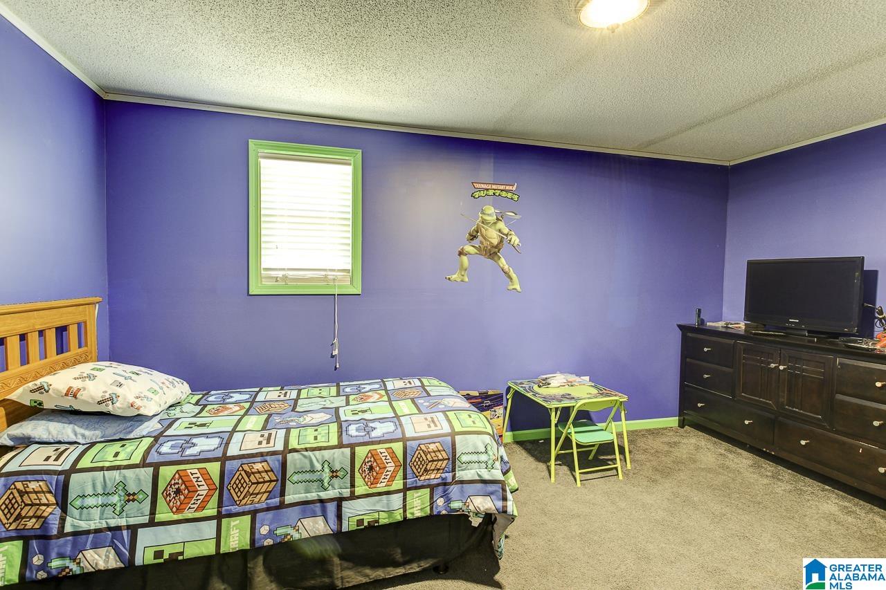 2495 County Road 46 Wedowee, AL 36278 - Photo 40 of 50