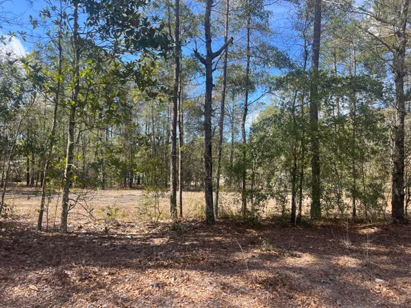 $42,000 | 2009 Beach Road, Walterboro, SC 29488