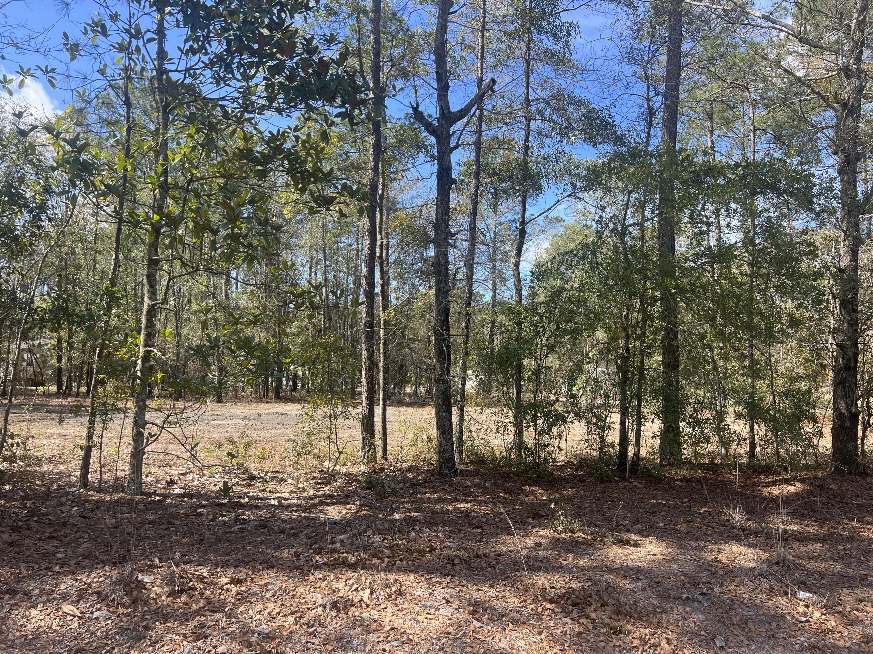 2009 Beach Road Walterboro, SC 29488 - Photo 2 of 5 IMG_0035