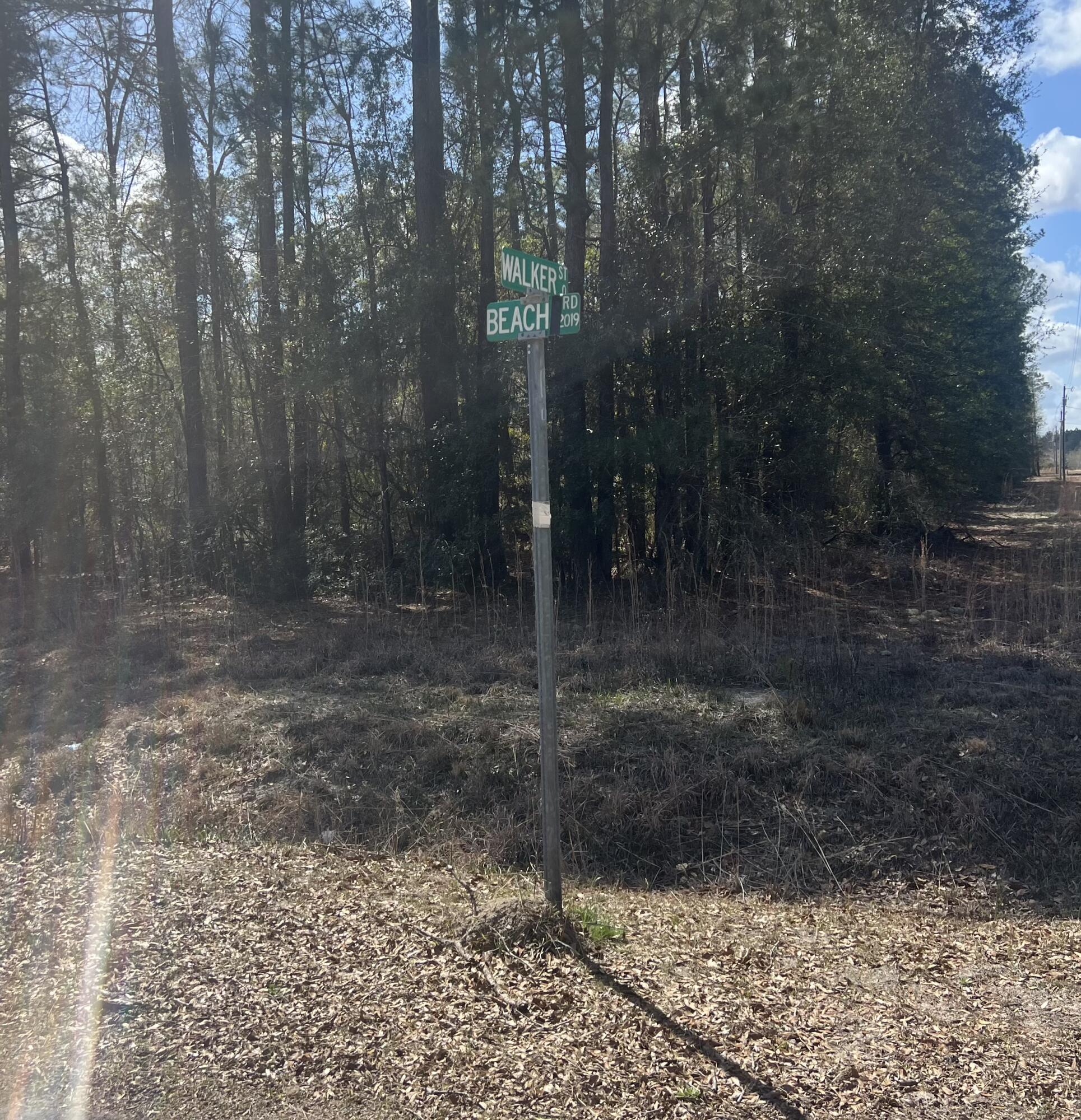 2009 Beach Road Walterboro, SC 29488 - Photo 3 of 5 IMG_0038