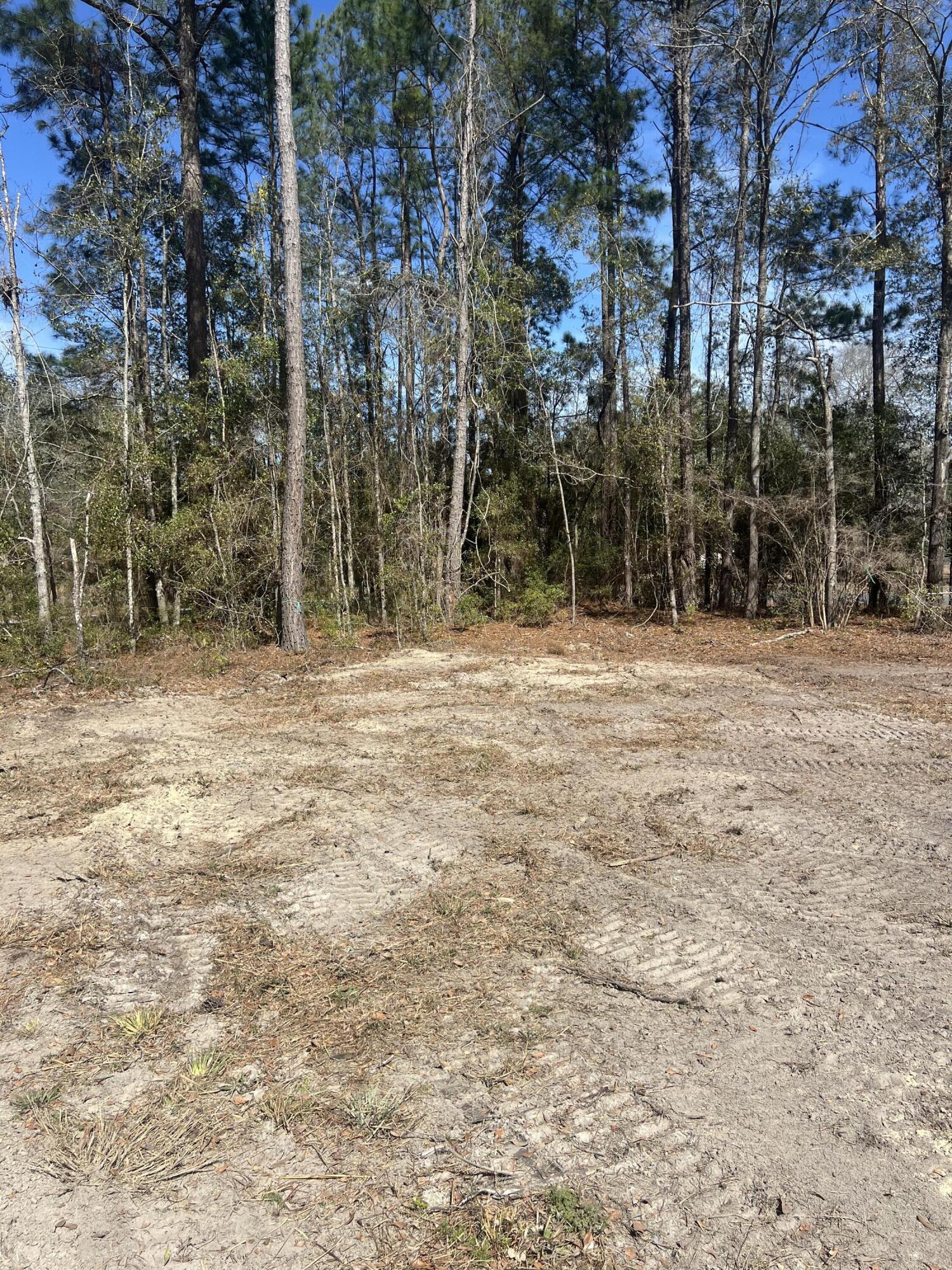 2009 Beach Road Walterboro, SC 29488 - Photo 4 of 5 IMG_0034