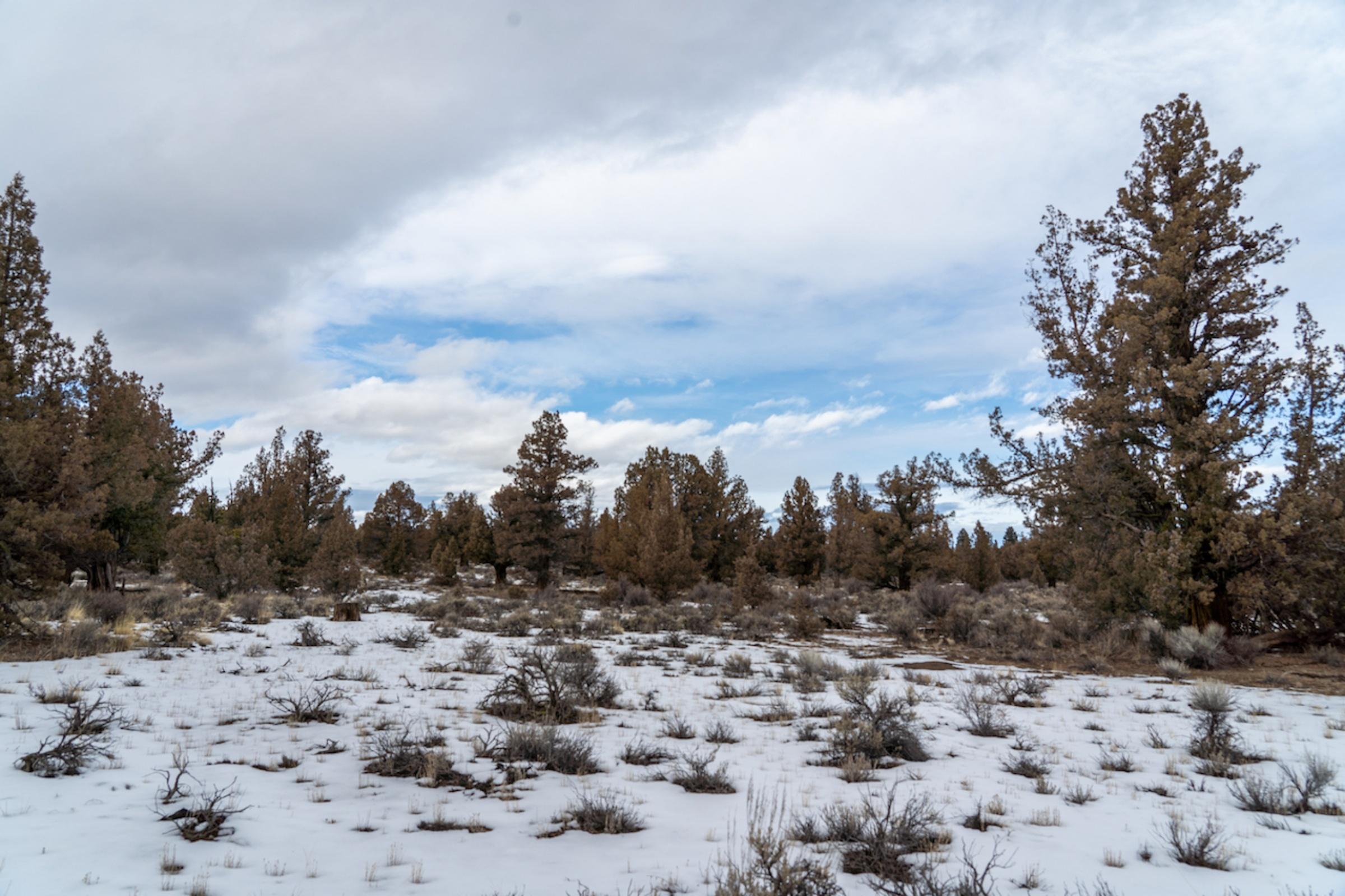 61225 Badlands Ranch Rd Bend Bend, OR 97701 - Photo 20 of 20 batch_HDR211