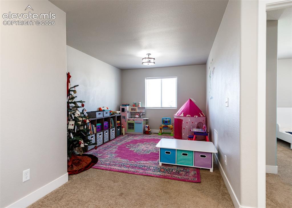 12653 Granite Ridge Drive Peyton, CO 80831 - Photo 27 of 45 loft